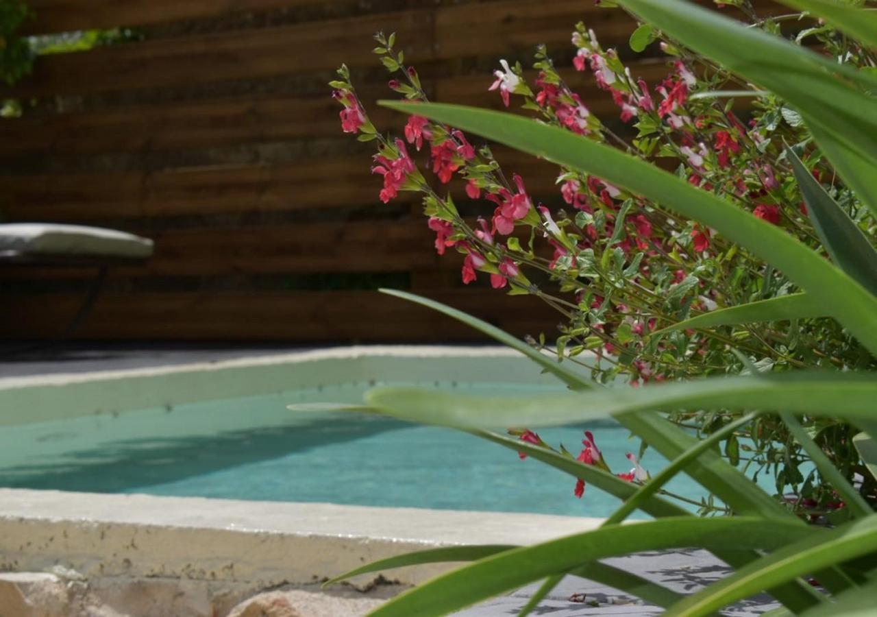 La Maison Bourgeoise - Adults Only Hotel Pourrieres Ngoại thất bức ảnh